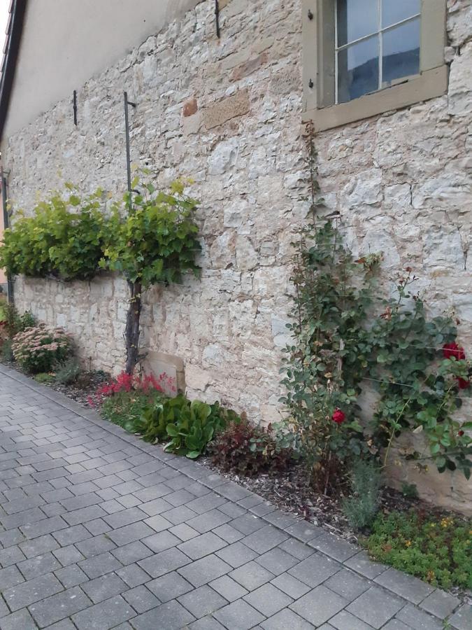 Fewo Koerner Seinsheim Im Weinparadies ภายนอก รูปภาพ